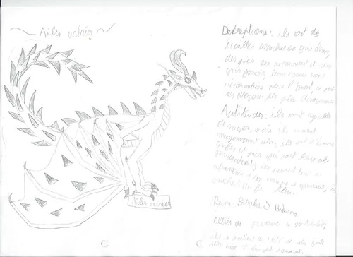 Fichier:R:Ailes acérées.jpg