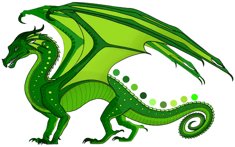 Fichier:R:Goyavier P.png