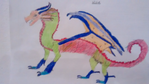 Pêche trop belle cool Nuit Pluie1.jpg