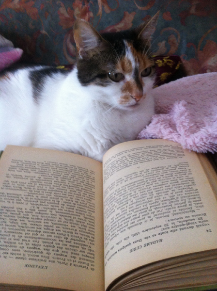 Fichier:IMG 0216.jpg