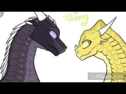 Fichier:R:Sunny et comète.jpg