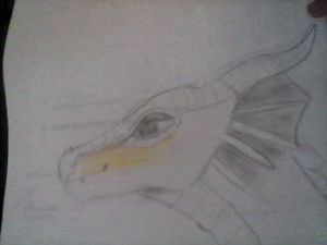 R:WIN 20190629 19 23 45 Pro.jpg