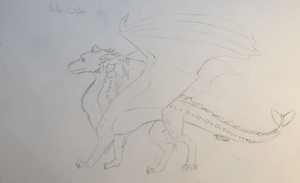 Ailes Colorées par Pelage de Léopard.jpg