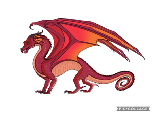 R:Crépuscule ( ailes de pluie ) .jpg