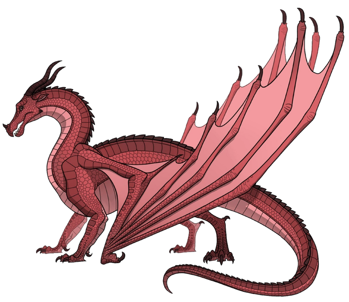 Fichier:Aigle (1).webp