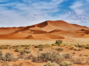 Le-desert-namib-dunes-orange.jpeg