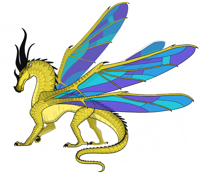 Fichier:Aile de Ruche-Soie.png