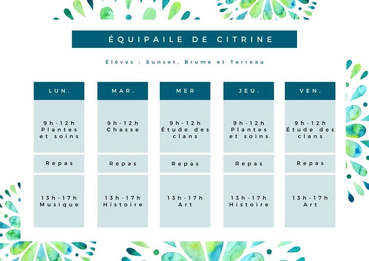 Fichier:R:Emploie du temps4.png