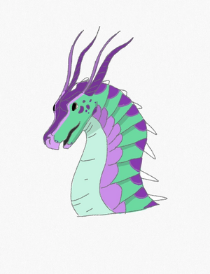 Patte de sureau Amiral.jpeg