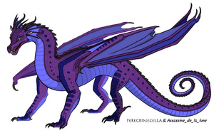 R:Sans titre 264 20200729153518.png