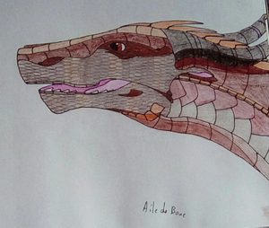 R:IMG 20191023 122231 kindlephoto-17343004.jpg