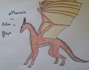 20211121 152516-1.jpg