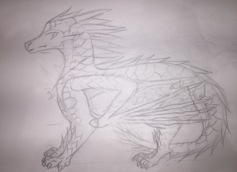 Fichier:IMG 0349.jpg