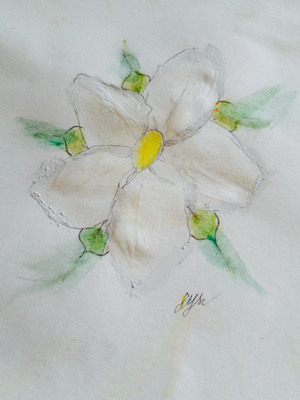 R:Gardenia pour Louloulalouve.jpg