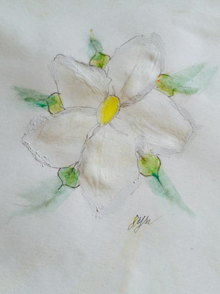 Fichier:R:Gardenia pour Louloulalouve.jpg