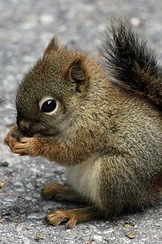 Fichier:R:IMG 0684.JPG