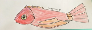 Coquelicot Poisson.jpg