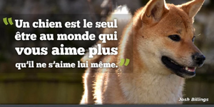 Citation trop choux !.jpg