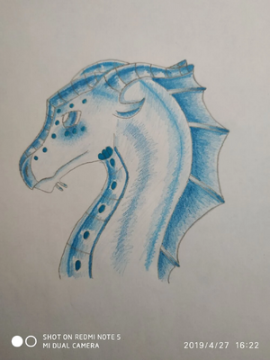 Béluga fait par Stellaire des Ailes Celèste.jpg