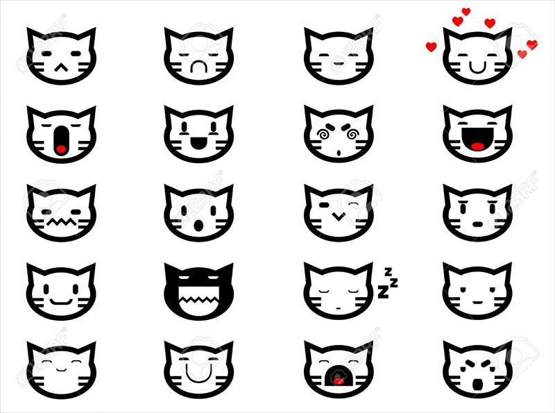 Fichier:R:Chat smiley.jpg