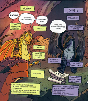 R:Sunny et Comète descript.png