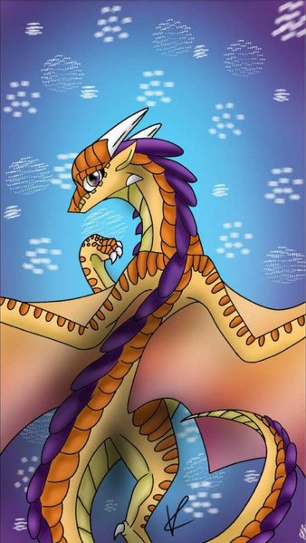 Fichier:R:IMG 20190817 200253.jpg