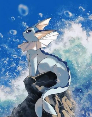 R:Image Araucaria.jpg