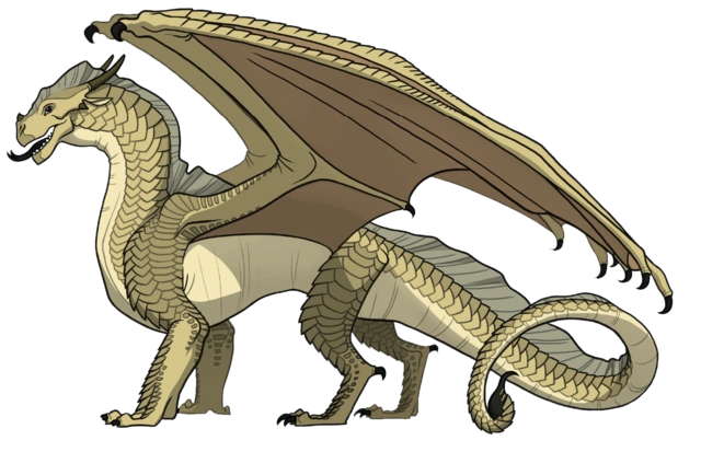 Fichier:Ocotillo référence.png