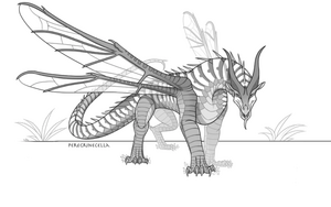 Aile de guêpe sans Charognard.png