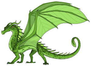 Saule référence anglaise .png