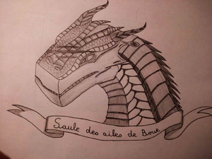 R:Saule 1 - Copie.jpg