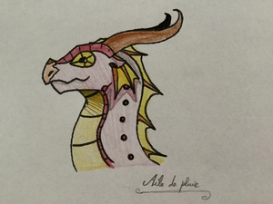 Aile de pluie Patte de sureau.jpeg