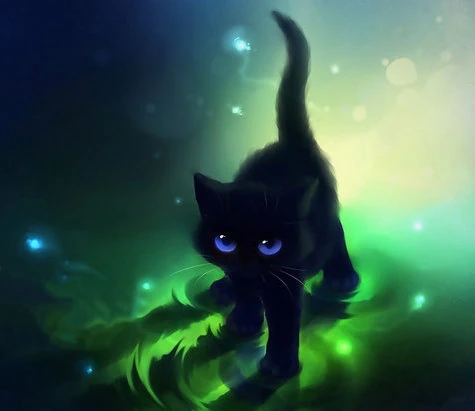 Fichier:Petit chat noir....jpg