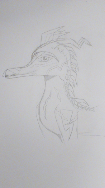 Fichier:DSC 0118.jpg