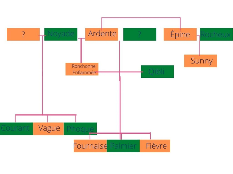 Fichier:R:Arbre Généalogique.jpg