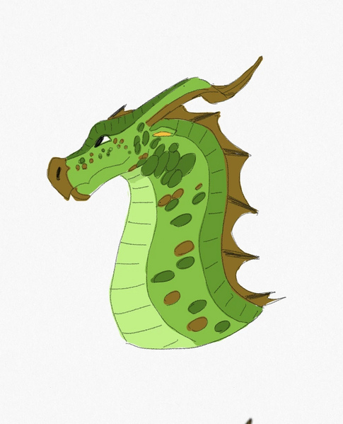 Fichier:Patte de sureau Belladone.jpeg