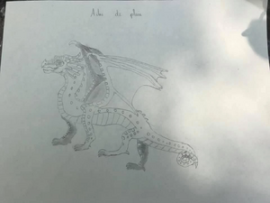 Dragon aile de pluie en dessin.jpg