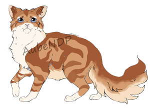 Rossé version chat.png