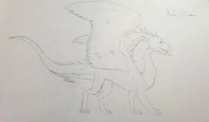 R:Ailes d'Oiseaux par Pelage de Léopard.jpg