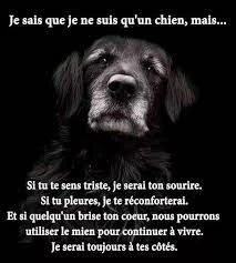 Fichier:Téléchargé (2).jpg