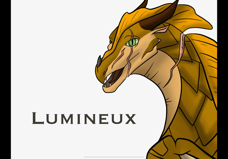 Fichier:R:IMG 1048.png