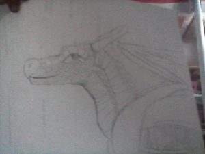 WIN 20190626 12 07 10 Pro.jpg