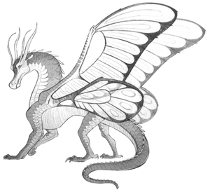 R:SilkWing Ref PhotoCropped.png