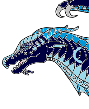 Fichier:R:Coquille portait.png