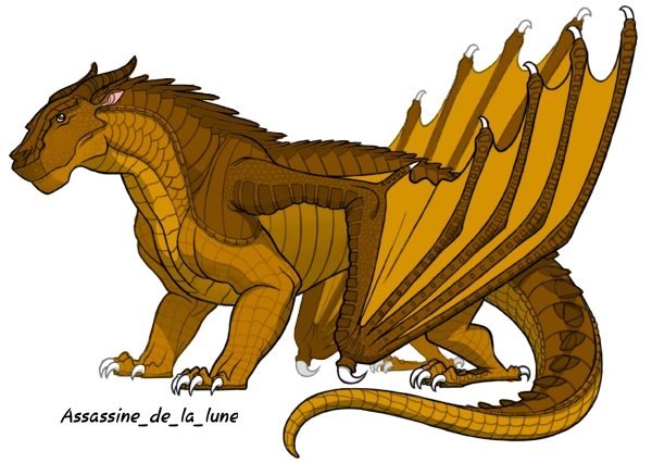 Fichier:R:Sans titre 251 20200727171833.png