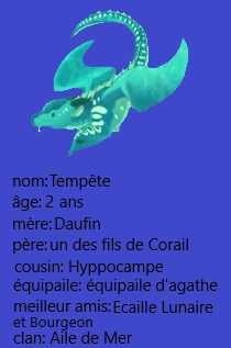 Fichier:Carte d'identité de Tempête.png