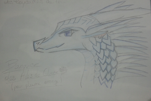 20200607 212132-1.jpg