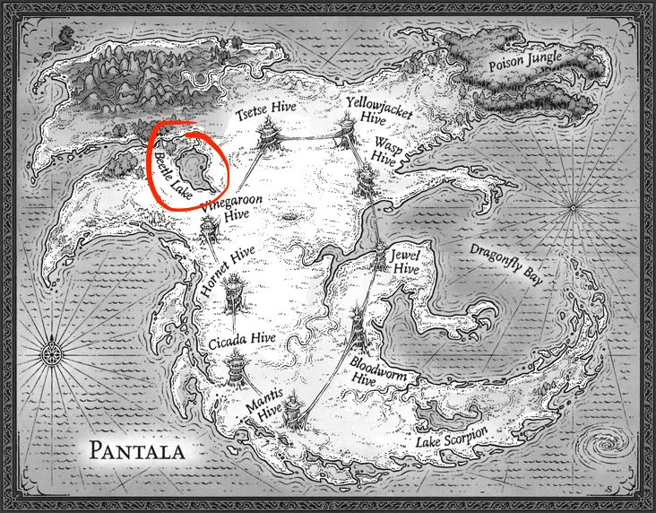 Fichier:Beetle lake pantala.jpg