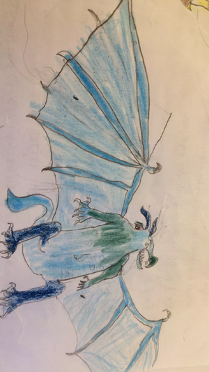 Face de Thon des Ailes de Mer.webp