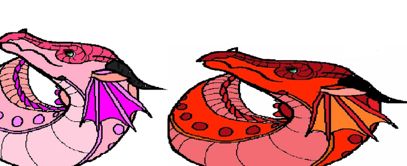 Fichier:R:Amazonie et moi.jpg